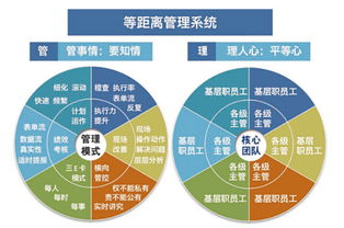 溫州企業管理咨詢 為何朗歐是您駐廠咨詢的卓越之選？